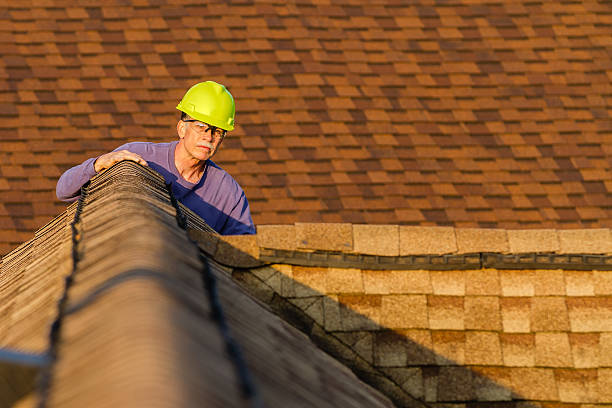 Roof Gutter Cleaning in University Place, WA