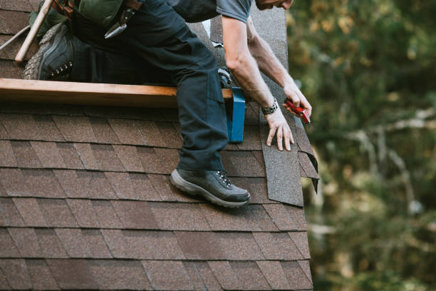 Best New Roof Installation  in University Place, WA